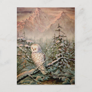 SNOWY OWY by SHARON SHARPE Postkarte
