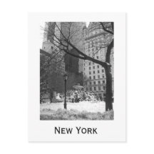 Snowy Park in New York