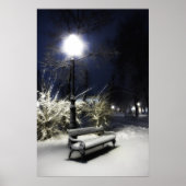 Snowy Park Poster (Vorne)