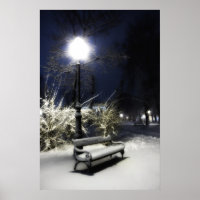 Snowy Park