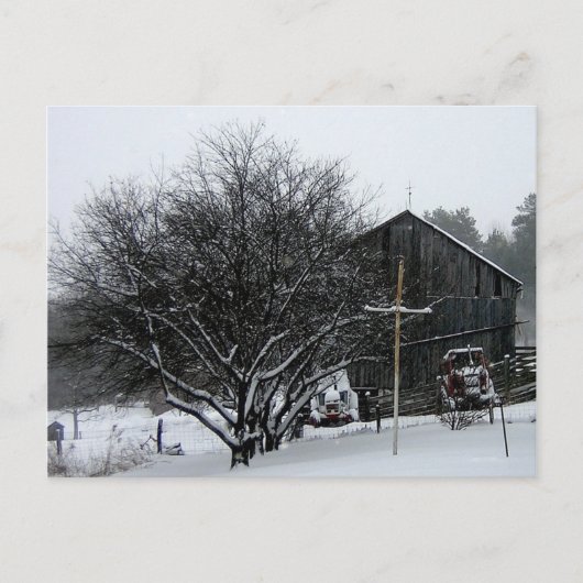 Snowy Parters' Yard Postkarte (Vorderseite)