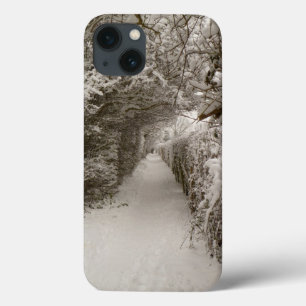 Snowy Path iPad Air Hüllen