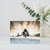 Snowy Pathway Postkarte (Stehend Vorderseite)