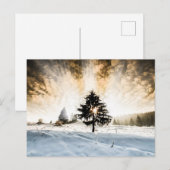 Snowy Pathway Postkarte (Vorne/Hinten)