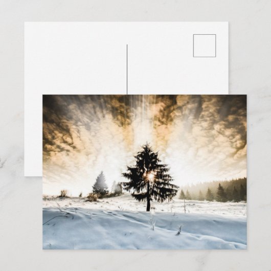 Snowy Pathway Postkarte (Vorne/Hinten)