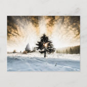 Snowy Pathway Postkarte (Vorderseite)