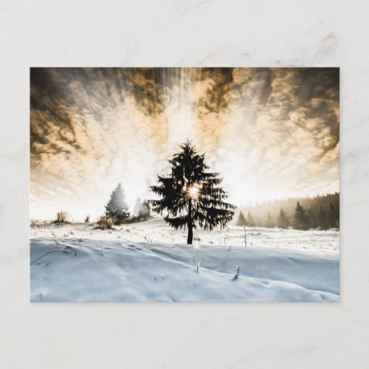 Snowy Pathway Postkarte (Vorderseite)