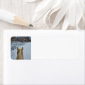 Snowy Pferde Ride (Insitu)