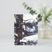 "Snowy Pine #2" Landstraßen Postkarte (Stehend Vorderseite)