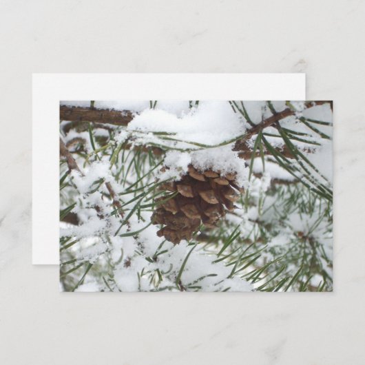 Snowy Pine Cone I Winter Nature Fotografy (Vorne/Hinten)