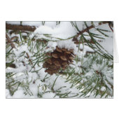 Snowy Pine Cone I Winter Nature Fotografy (Vorderseite (Horizontal))