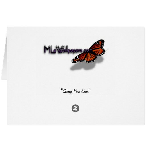 Snowy Pine Cone I Winter Nature Fotografy (Rückseite Horizontal)