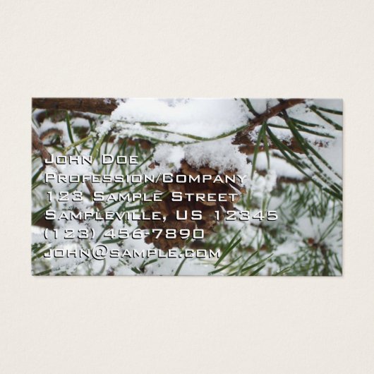 Snowy Pine Cone I Winter Nature Fotografy (Vorderseite)