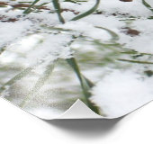 Snowy Pine Cone I Winter Nature Fotografy Fotodruck (Ecke)