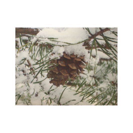 Snowy Pine Cone I Winter Nature Fotografy Holzposter (Vorderseite)