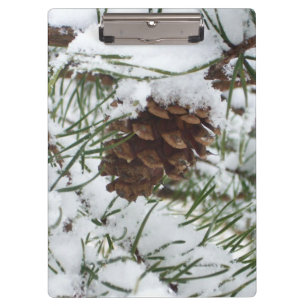 Snowy Pine Cone I Winter Nature Fotografy Klemmbrett