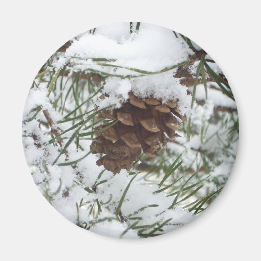 Snowy Pine Cone I Winter Nature Fotografy Magnet (Vorne)