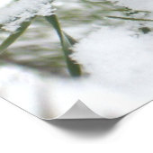 Snowy Pine Cone I Winter Nature Fotografy Poster (Ecke)