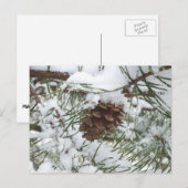 Snowy Pine Cone I Winter Nature Fotografy Postkarte (Vorne/Hinten)