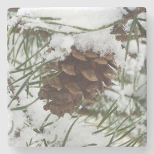 Snowy Pine Cone I Winter Nature Fotografy Steinuntersetzer