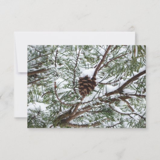 Snowy Pine Cone II Winterlandfotografie (Vorderseite)