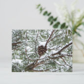 Snowy Pine Cone II Winterlandfotografie (Stehend Vorderseite)