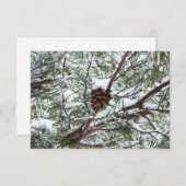 Snowy Pine Cone II Winterlandfotografie (Vorne/Hinten)