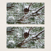 Snowy Pine Cone II Winterlandfotografie (Vorne & Hinten)