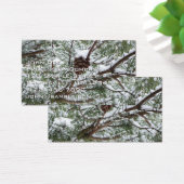 Snowy Pine Cone II Winterlandfotografie (Schreibtisch)