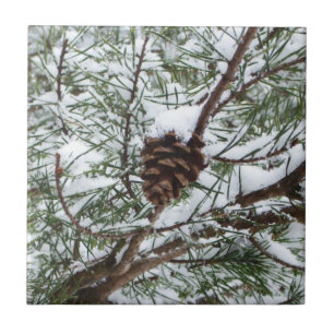 Snowy Pine Cone II Winterlandfotografie Fliese
