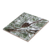 Snowy Pine Cone II Winterlandfotografie Fliese (Seite)