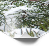 Snowy Pine Cone II Winterlandfotografie Fotodruck (Ecke)