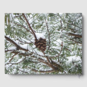 Snowy Pine Cone II Winterlandfotografie Gästebuch (Rückseite)