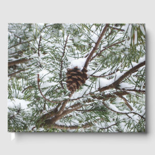 Snowy Pine Cone II Winterlandfotografie Gästebuch