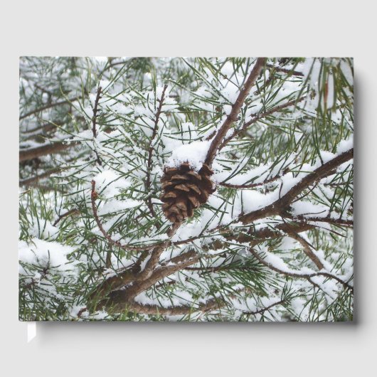 Snowy Pine Cone II Winterlandfotografie Gästebuch (Vorderseite)