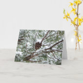 Snowy Pine Cone II Winterlandfotografie Karte (Gelbe Blume)