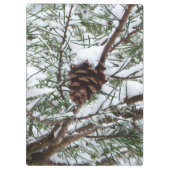 Snowy Pine Cone II Winterlandfotografie Klemmbrett (Rückseite)