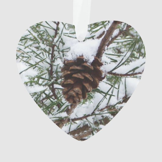 Snowy Pine Cone II Winterlandfotografie Ornament (Rückseite)
