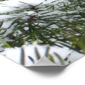 Snowy Pine Cone II Winterlandfotografie Poster (Ecke)