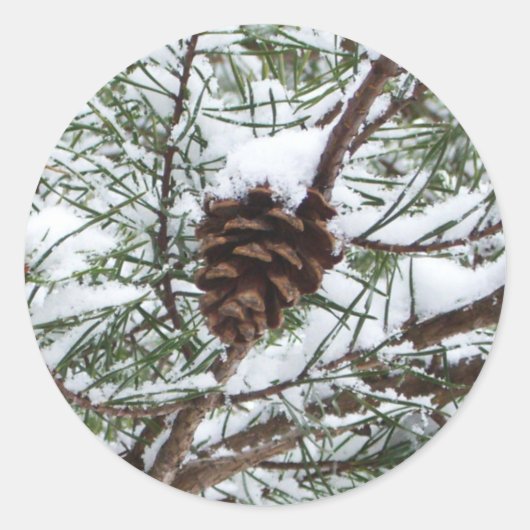 Snowy Pine Cone II Winterlandfotografie Runder Aufkleber (Vorderseite)