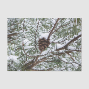 Snowy Pine Cone II Winterlandfotografie Seidenpapier