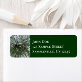 Snowy Pine Needles Winter Nature Fotografy (Insitu)