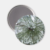 Snowy Pine Needles Winter Nature Fotografy Magnet (Vorderseite/Rückseite)