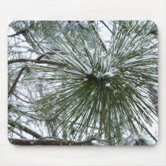 Snowy Pine Needles Winter Nature Fotografy Mousepad (Vorne)