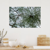 Snowy Pine Needles Winter Nature Fotografy Poster (Küche)