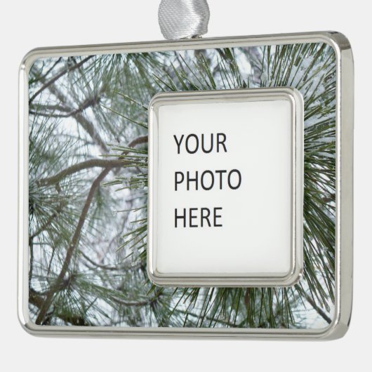 Snowy Pine Needles Winter Nature Fotografy Rahmen-Ornament Silber (Links)
