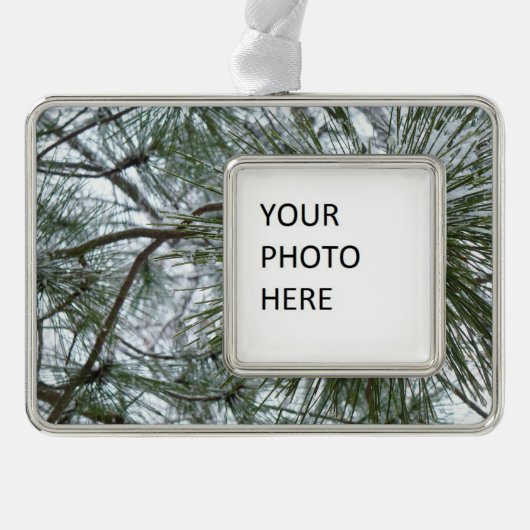 Snowy Pine Needles Winter Nature Fotografy Rahmen-Ornament Silber (Vorderseite)