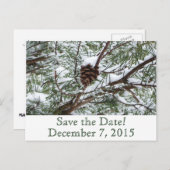 Snowy Pinecone Save the Date Ankündigungspostkarte (Vorne/Hinten)