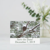 Snowy Pinecone Save the Date Ankündigungspostkarte (Stehend Vorderseite)
