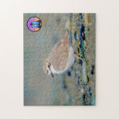 Snowy Plover Jigsaw Puzzle (Vertikal)
